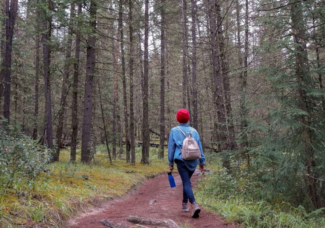 Person med röd mössa promenerar på en skogsstig med ryggsäck